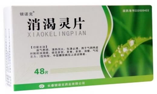 银诺克消渴灵片招商代理 48片 长春银诺克