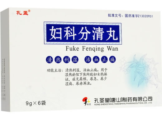孔孟妇科分清丸招商代理 6袋 孔圣堂(唐山)制药