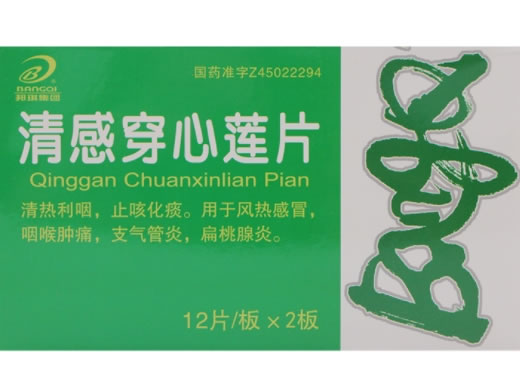 邦琪集团清感穿心莲片招商代理 24片 邦琪集团