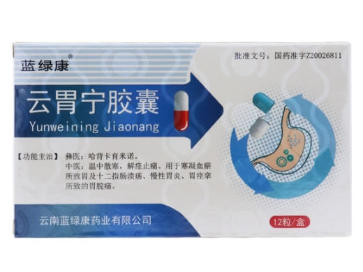 云胃宁胶囊