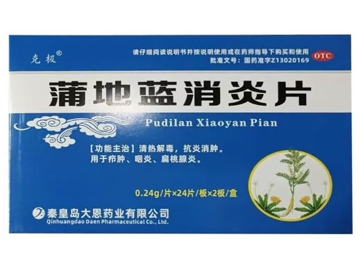 克极蒲地蓝消炎片招商代理 48片(OTC版) 克极