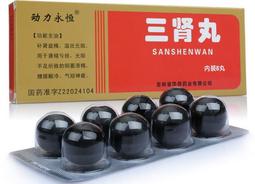 动力永恒三肾丸招商代理 8丸(大蜜丸) 吉林省华侨药业