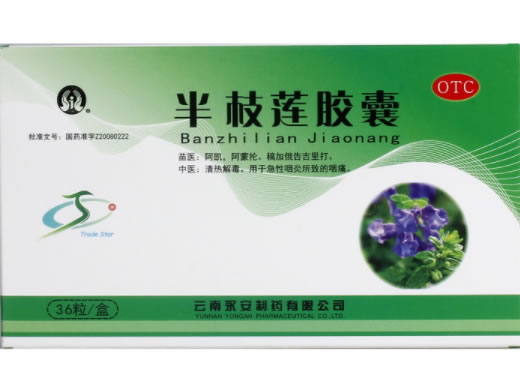 半枝莲胶囊招商代理 36粒 云南永安