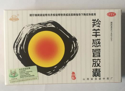 吕中羚羊感冒胶囊招商代理 20粒