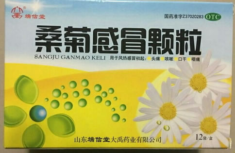 端信堂/大禹桑菊感冒颗粒招商代理 12袋