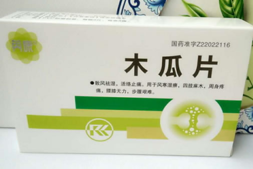 芮康木瓜片招商代理 18片 吉林亚泰