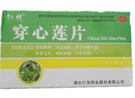 仁悦穿心莲片招商代理 24片