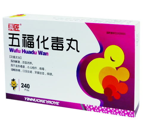 真匠五福化毒丸招商代理 40丸*2袋*3盒