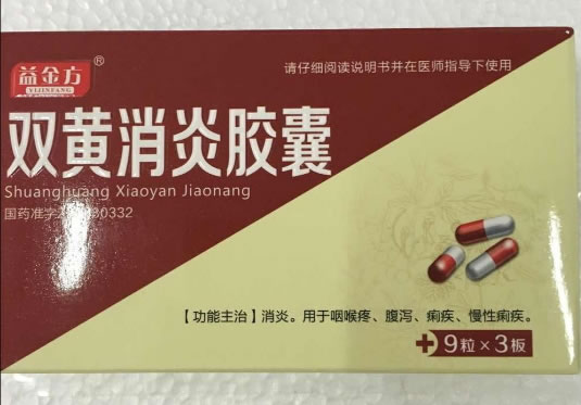 益金方双黄消炎胶囊招商代理 27粒