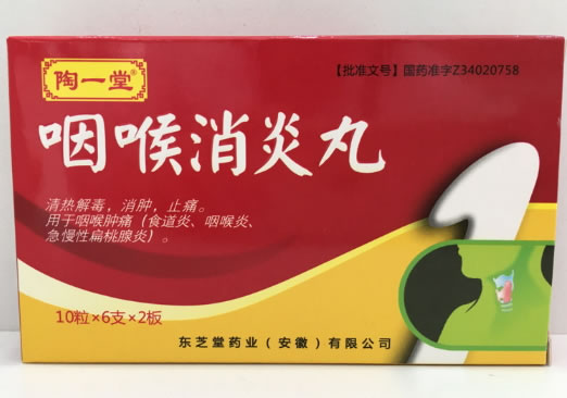 淘一堂咽喉消炎丸招商代理 6支*2板