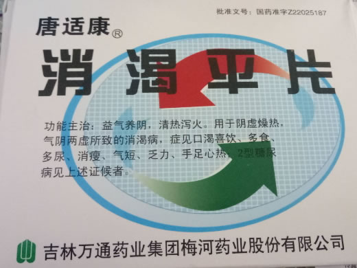 消渴平片