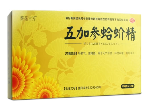 葵花古芳五加参蛤蚧精招商代理 12支