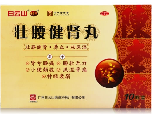 白云山/陈李济壮腰健肾丸招商代理 35g*10瓶