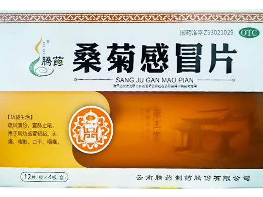 腾药桑菊感冒片招商代理 48片
