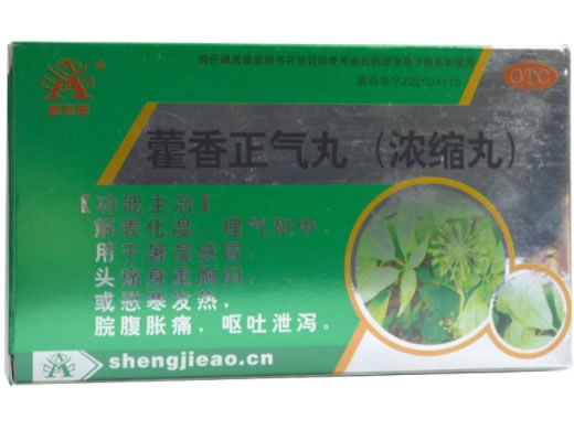 盛杰奥藿香正气丸招商代理 4袋 华侨药业