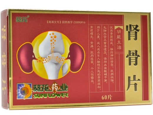 葵花/葵花药业肾骨片招商代理 60片
