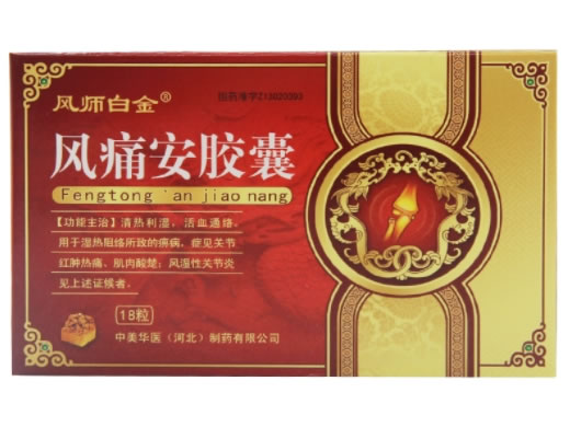 风痛安胶囊