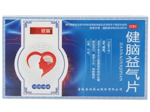 健脑益气片