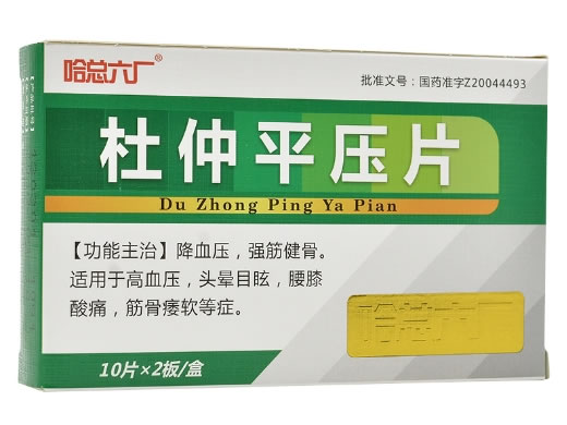 哈总六厂杜仲平压片招商代理 10片*2板