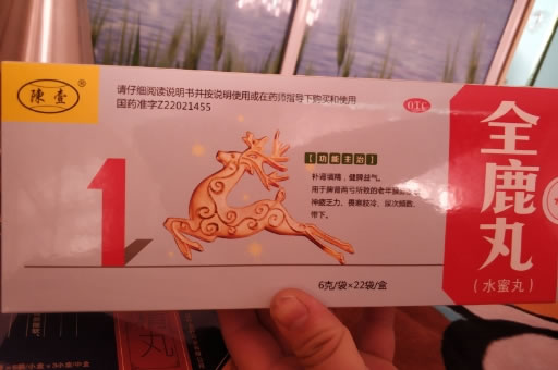 陳壹全鹿丸招商代理 22袋