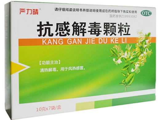 抗感解毒颗粒