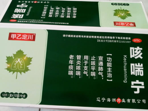 甲乙定川咳喘宁招商代理 甲乙定川 10盒