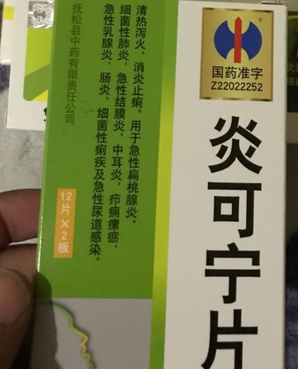 炎可宁片招商代理 抚松县中药