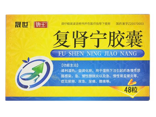 复肾宁胶囊