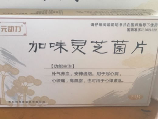 元动力加味灵芝菌片招商代理 