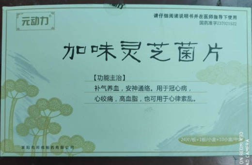 元动力加味灵芝菌片招商代理 10盒 元动力