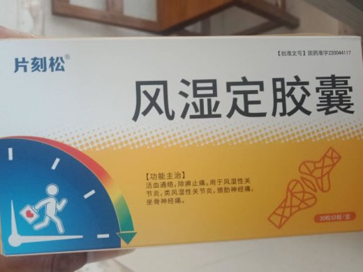 风湿定胶囊