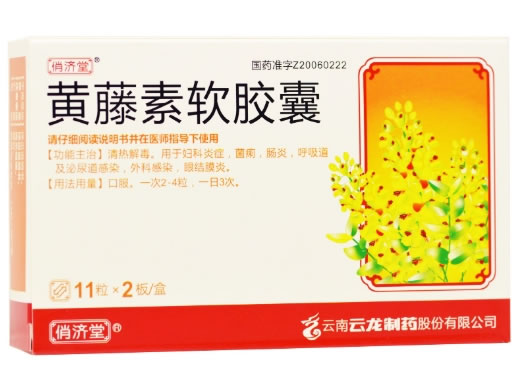 俏济堂黄藤素软胶囊招商代理 22粒