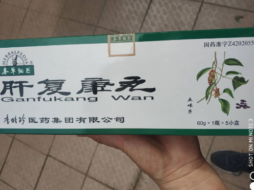 本草纲目肝复康丸招商代理 5小盒