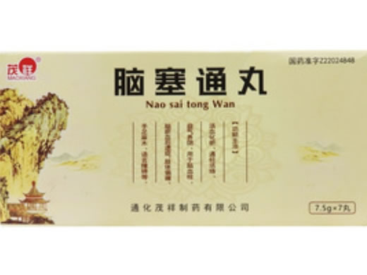 脑塞通丸