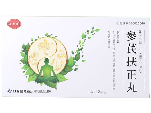 兆誉隆参芪扶正丸招商代理 12瓶 兆誉隆