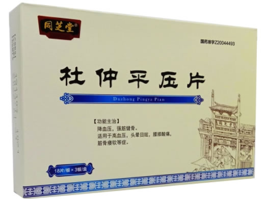 同芝堂杜仲平压片招商代理 54片