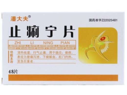 潘大夫止痢宁片招商代理 48片