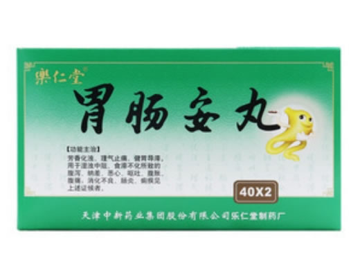 乐仁堂胃肠安丸招商代理 40丸*2瓶 乐仁堂