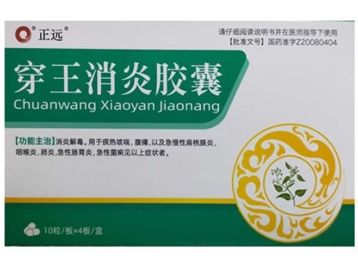 正远穿王消炎胶囊招商代理 40粒