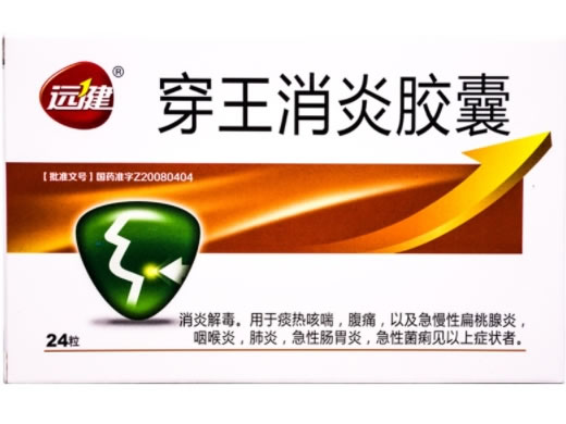 远健穿王消炎胶囊招商代理 24粒
