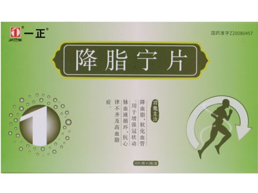 一正降脂宁片招商代理 40片