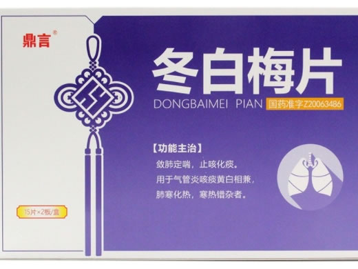 鼎言冬白梅片招商代理 30片