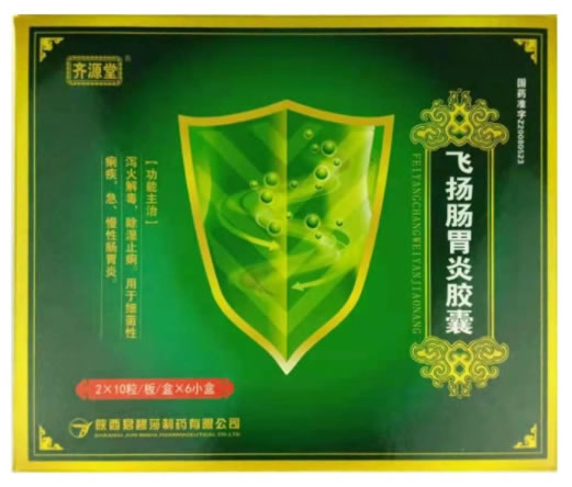 齐源堂飞扬肠胃炎胶囊招商代理 20粒*6盒