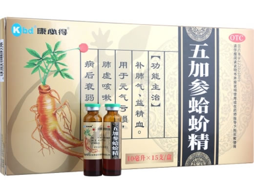 康必得五加参蛤蚧精招商代理 15支