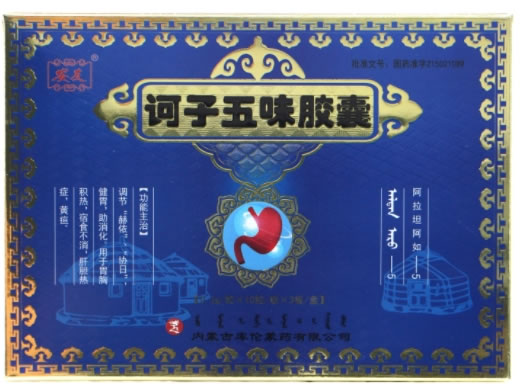 诃子五味胶囊招商代理 30粒