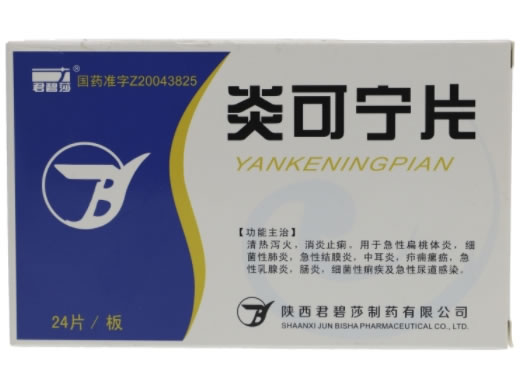 炎可宁片招商代理 24片 陕西君碧莎