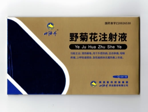 山海丹野菊花注射液招商代理 12支