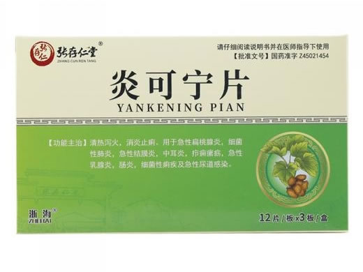 张存仁堂/浙海炎可宁片招商代理 36片