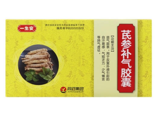 芪参补气胶囊