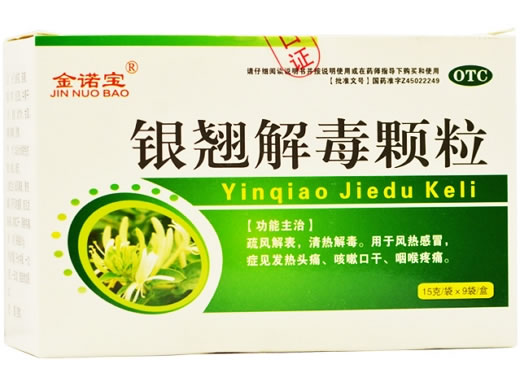 金诺宝银翘解毒颗粒招商代理 9袋 金诺宝